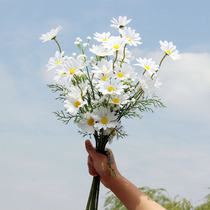 ins hipster fashion photography wedding props literary travel photo location graduation season simulation Daisy