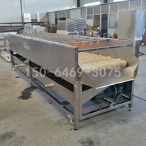 Factory direct large oyster washing machine parallel conveying hard hair brush Long Island oysters to Sand wool roller machine