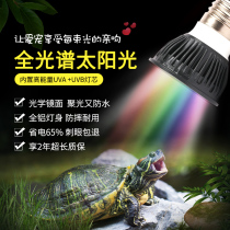 Sun back light UVB Light UVA Light Full spectrum sun Light Climbing pet light Turtle light Lizard Sun light Turtle Light Turtle Light Turtle Light Turtle Light Turtle Light Turtle Light Turtle Light Turtle Light Turtle Light Turtle Light Turtle Light Turtle Light Turtle Light Turtle Light Turtle Light Turtle Light Turtle Light Turtle Light