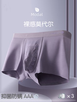 60 modal underwear mens four corners pure cotton thin breathable mens graphene antibacterial seamless boxer pants nk