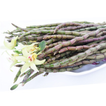 Dendrobium dendrobium fresh strips 500 grams four-year-old Huoshan Fengdou Chinese herbal tonic new base direct sales are now cut