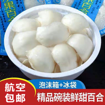 Shunfeng Lanzhou fresh sweet Lily selection bowl 125X four bowls of 500g Gansu edible non-dry goods