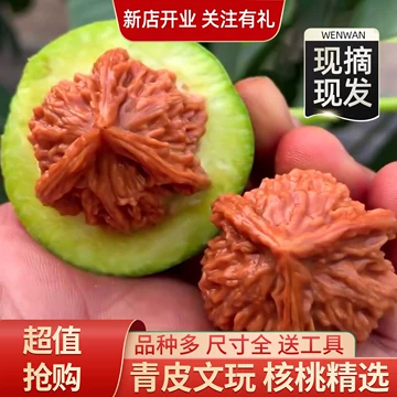 ❤️ユースケNo.490 文玩（文玩核桃） 精配红皮正磨 文玩核桃对-文玩核桃对促销价格、文玩核桃对品牌- 淘宝