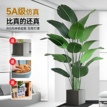 Simulation green plant bird of paradise potted living room office high-end light luxury large fake plant landscaping floor decoration