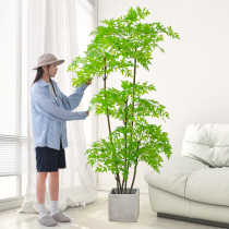 Nantian bamboo simulation green plant living room high-end light luxury bionic tree floor-to-ceiling TV decoration indoor fake flower decoration potted plants