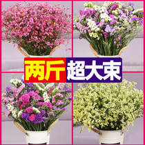  Yunnan natural wind forget-me-not dried flower bouquet decoration ornaments real flower family flower arrangement on the catty sell starry sky