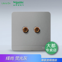 Schneider switch socket still fluorescent gray dual audio single connection one speaker socket type 86