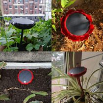 Ten good culture Solar player Care-free outdoor lotus type