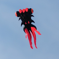 Horse Old Four Kite New Product Software 5 m 9 m Umbrella Burkinfish Anti Windy Spot Day Out