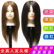 Full-Life hair teaching head hairdressing head mold practice can blow cut hot dye drift roll model head doll head dummy head mold