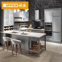 European Whole Cabinet Custom Modern Kitchen California Past American Cabinet Home Assembly Kitchen Cabinet Prepayment