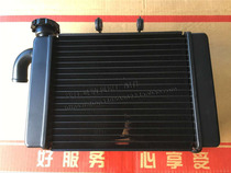 Suitable for Qianjiang Xiaohuanglong BJ300 BN302 TNT302 water tank fan assembly radiator