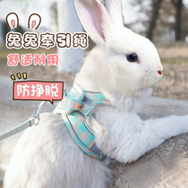 Rabbit Divine Instrumental Rabbit Traction Rope Pet Rabbit Anti-out Rabbit Rabbit Anti Bite Vest Style Adjustable Rope