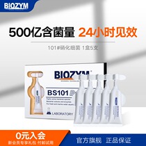 Bainmei small aircraft nitrifying bacteria active nitrifying bacteria water purifying aquarium fish tank fish products digestive bacteria