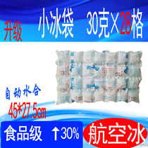 Energy storage and preservation refrigerated ice bag self-absorption technology express air logistics no water injection