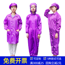 Dust-free clothing purple one-piece hooded split coat clean clothes anti-static clothing tops electronics factory work dust-proof clothing