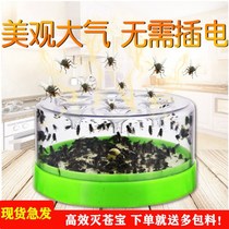 Flies lure fly medicine long-acting special effects magic medicine bait rural mosquito-killing drug farm artifact fly King