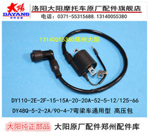 Dayang motorcycle 110-2e-2f-15a 90-4 48Q-2 High Voltage package ignition coil spark plug high voltage cap