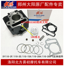 Dayang motorcycle accessories DY110-2F-2E 110-15A-20A-28A sleeve cylinder block piston ring