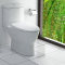 ARROW Wrigley bathroom toilet toilet silent household siphon water saving silent flush toilet AB1116