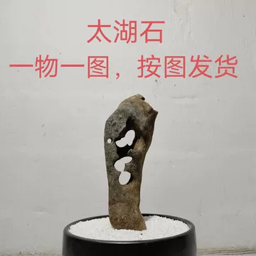 天然小品太湖石-天然小品太湖石促销价格、天然小品太湖石品牌- 淘宝
