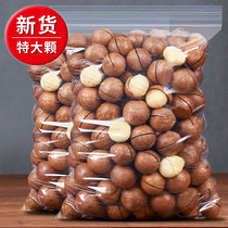 Macadamia nut original flavor without adding extra large particles 500g pregnant women cream flavor bulk dried fruit FCL 5 kg nuts