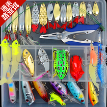 Lujah Bait Suit Proposed Bait Fresh Water Seawater Fake Bait Hard Bait Thunder Frog Melon Seeds Bright Sheet Soft Bait Iron Plate Fake Bait Black Fish