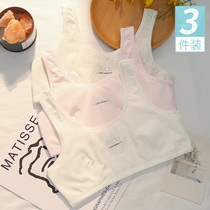 Fat girl underwear 16-year-old girl development early high school 12 cotton 10 middle and big child vest summer size bra