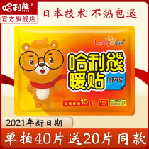 Halle bear warm stickers treasure stickers self-heating winter cold protection warm body stickers female Palace cold 100 hot Post