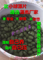 Chlorella fish eat beard Dafan yellowing helicopter alien benthic fry opening panda maze crystal shrimp