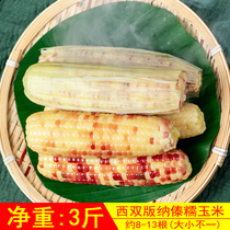 Dai glutinous corn (3kg of real Huifu) Yunnan Xishuangbanna Dai sweet sweet sweet sticky bag Valley fresh cooked packaging