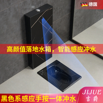 Hidden induction automatic Black flush tank squatting toilet adult squatting toilet home toilet bar squat toilet