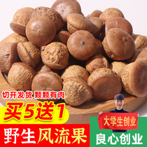 Guangxi wild wind fruit wine wine Bala head kidney Chinese medicine nourishing yin and yang small fruit 500g