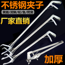 Stainless steel Loach pliers catch eel extended clip anti-slip tool folding special artifact eel anti-stripping thickening
