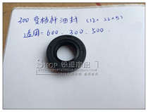 Qianjiang Original Huanglong BJ600GS Lanbaolong Little Huanglong 300 Jinpeng 500 Variable Rod Oil Seal