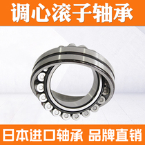 NSK imported double row spherical roller bearing 22310 EAE4 CDE4 CAM K W33 C3 S11 bearing