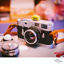 taxii hot boot lid solid cartoon plastic anti-fall hot boot dust seat protection lid with small bean sprouts cute