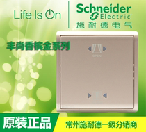 Schneider switch socket Famsun intoxicated gold gold 10A mechanical curtain switch with fluorescent indicator