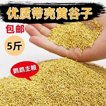5 Jin new yellow millet with Shell millet tiger skin peony Xuanfeng small and medium-sized parrot bird bird food bird feed