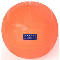 FUSHIHUA (FUSHIHUA)student sports training inflatable solid ball youth students test standard 2KG