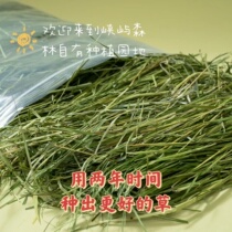 (Isthmus Forest) drying up the physical and soul gorge town shop recommended by the carnal and soul gorge of the Northern Tie 500g Timothy Moshe grass