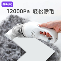 Electric pet hair absorber adsorption bed dog hair cleaner cat hair cleaner hair removal artifact