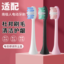 Suitable for Antarctic electric toothbrush head D1 brush head independent packaging general Qianshan Q5 same electric toothbrush