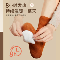 Antarctic warm foot paste sole self-heating insole warm foot paste winter female cold warm wormwood hot paste warm baby