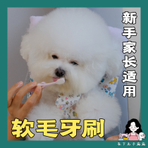 In the lower meatballs ten thousand Mao toothbrush soft brushed fur pet pooch toothbrushing to protect the gums in addition to mouth odor