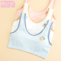 Developmental adolescent vest female primary school junior high school girl High School student underwear children wear breast wrap bra