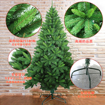Christmas decorations Green 1 2 meters 1 5 meters 1 8 meters 2 1 meters Christmas tree naked luxury encryption iron feet