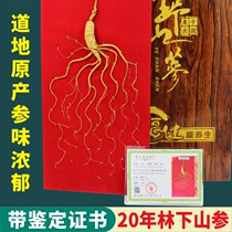 Northeast ginseng Changbai Mountain Wild mountain ginseng bubble wine special forest ginseng dry ginseng high-grade gift box packaging gift first-class product