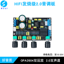 HIFI audiophile grade 2 0 tone board OPA2604 dual preamp Op amp High fidelity dual channel power amplifier pre module