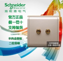 Schneider Fengshang Series Champagne Gold Single Two-Head Double Audio Speaker Socket Schneider